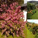 Alloggio in famiglia Goscinne U Renaty Szczyrk