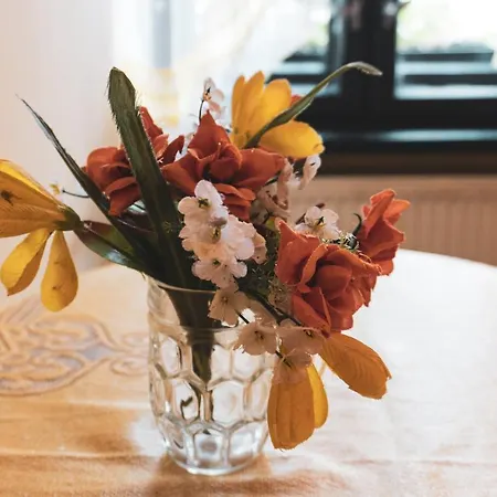 Goscinne U Renaty Alloggio in famiglia