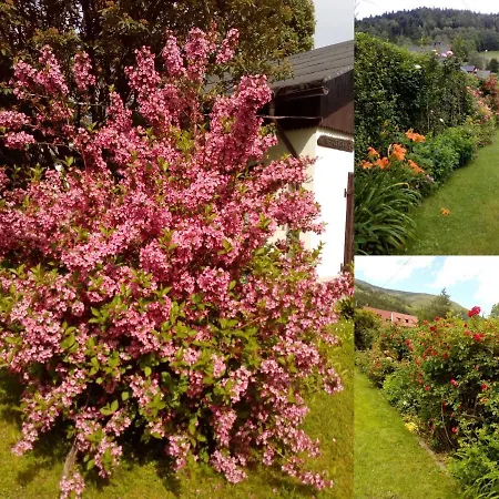 Alloggio in famiglia Goscinne U Renaty Szczyrk