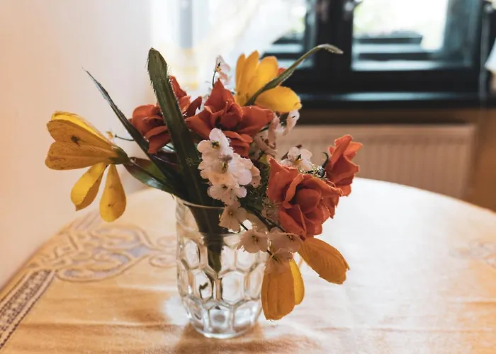 Goscinne U Renaty 홈스테이