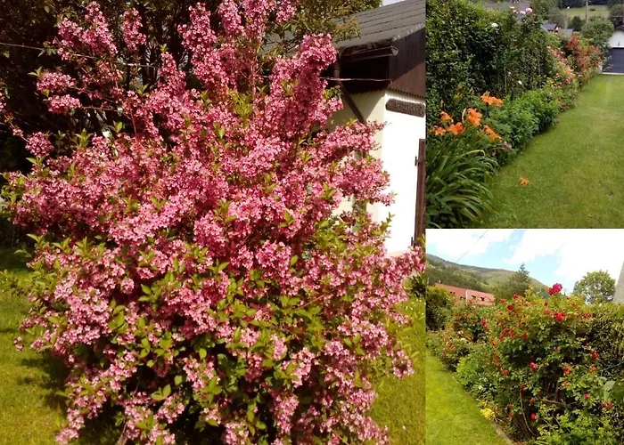 Homestay Goscinne U Renaty Szczyrk